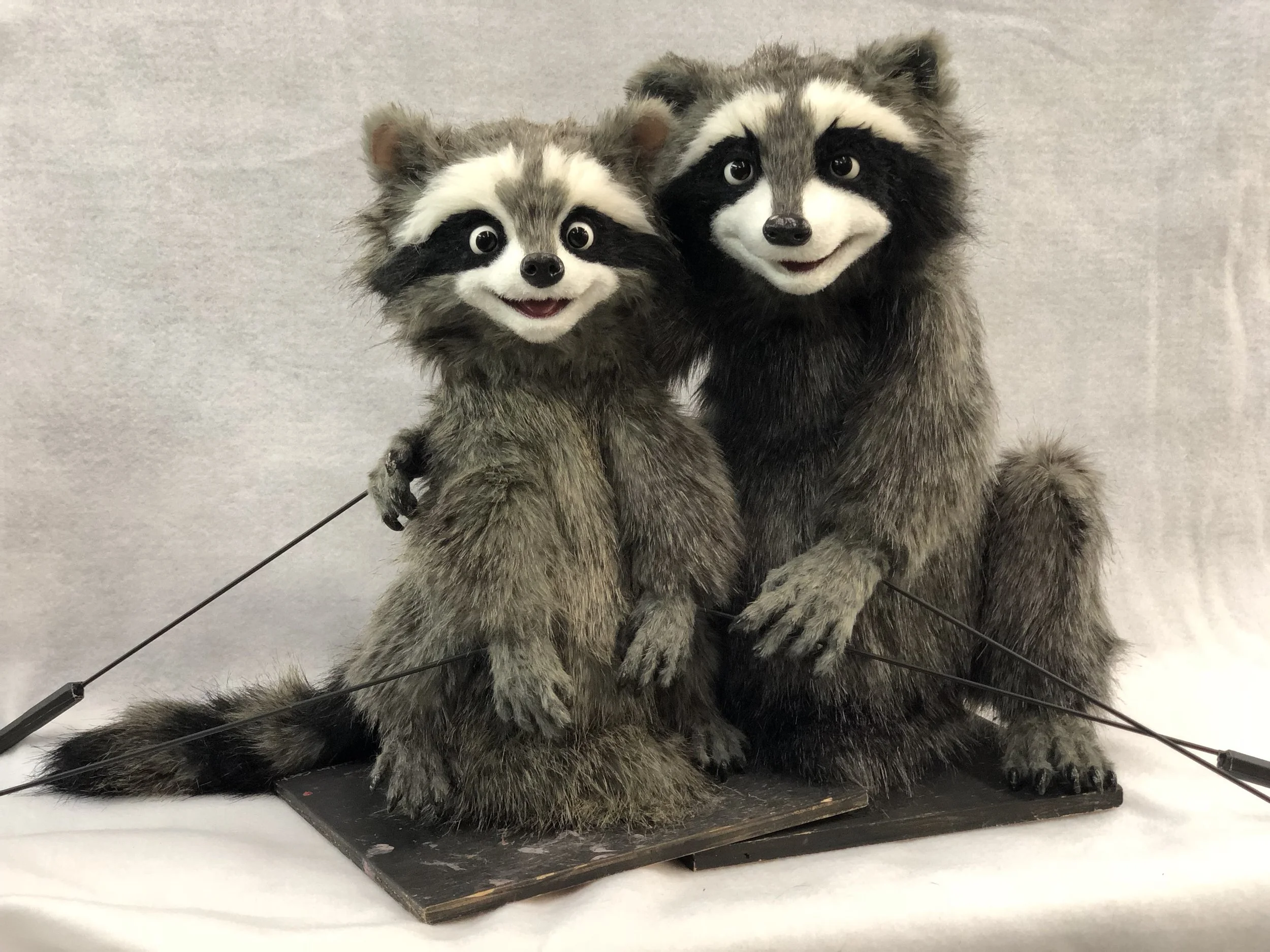 Behind the Scenes with Mrs. Raccoon and Chester