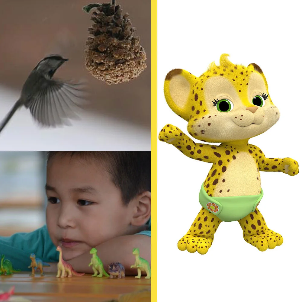 Amazing Animals Part 2 