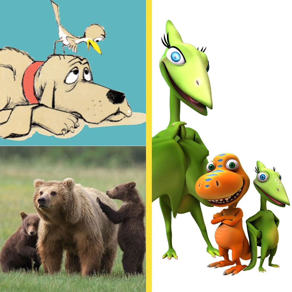 Amazing Animals Part 3 