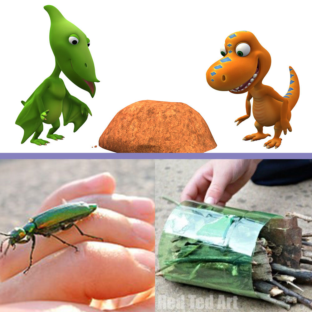 Bug Bonanza Part 2 