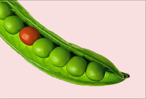 Outsourcing: How Do You Find a Cultural Match?