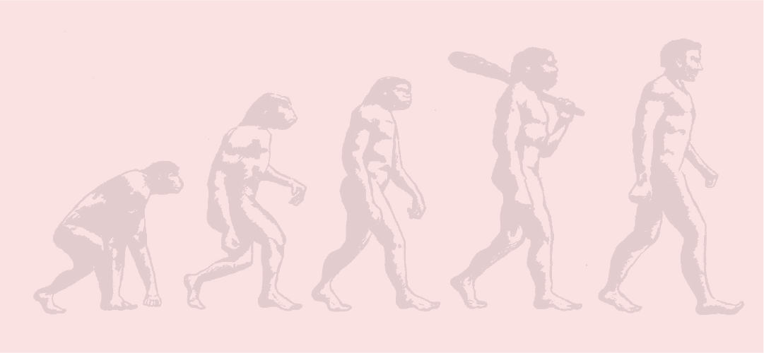 EvolutionAsset 1.png