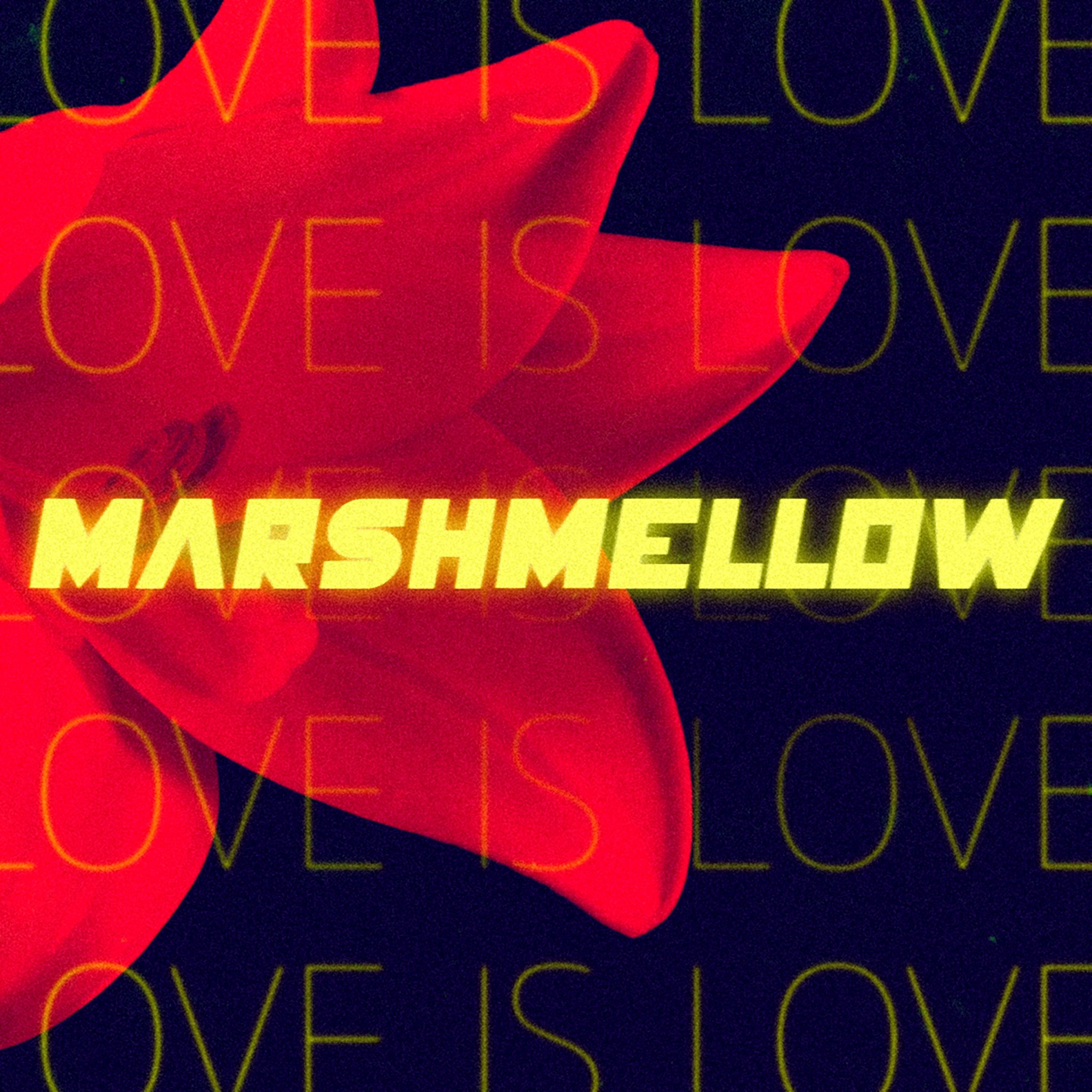Marshmellow - Love Is Love (Album) (Copy)