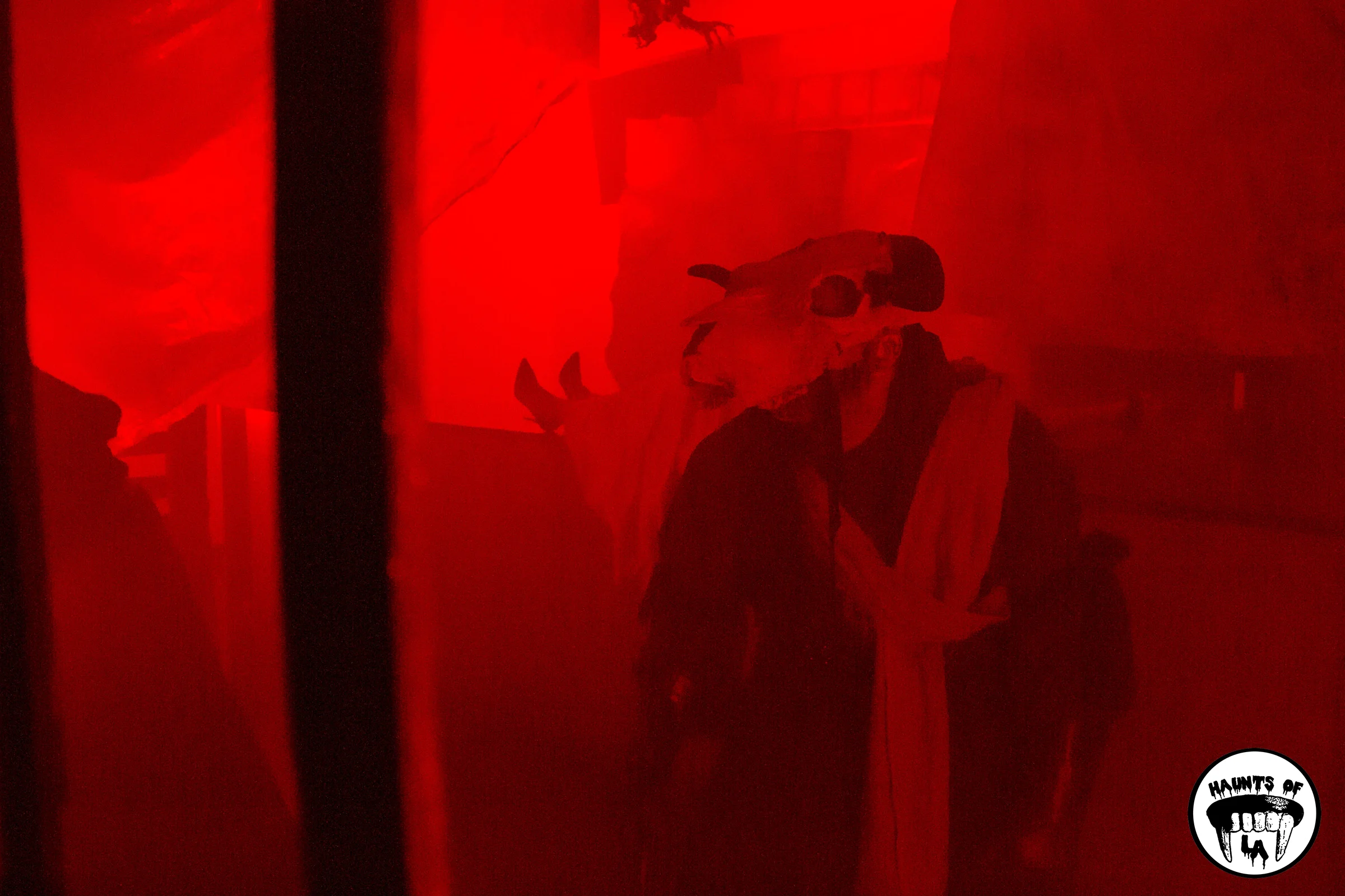 HOLA Night Of Terror sized (1).jpg