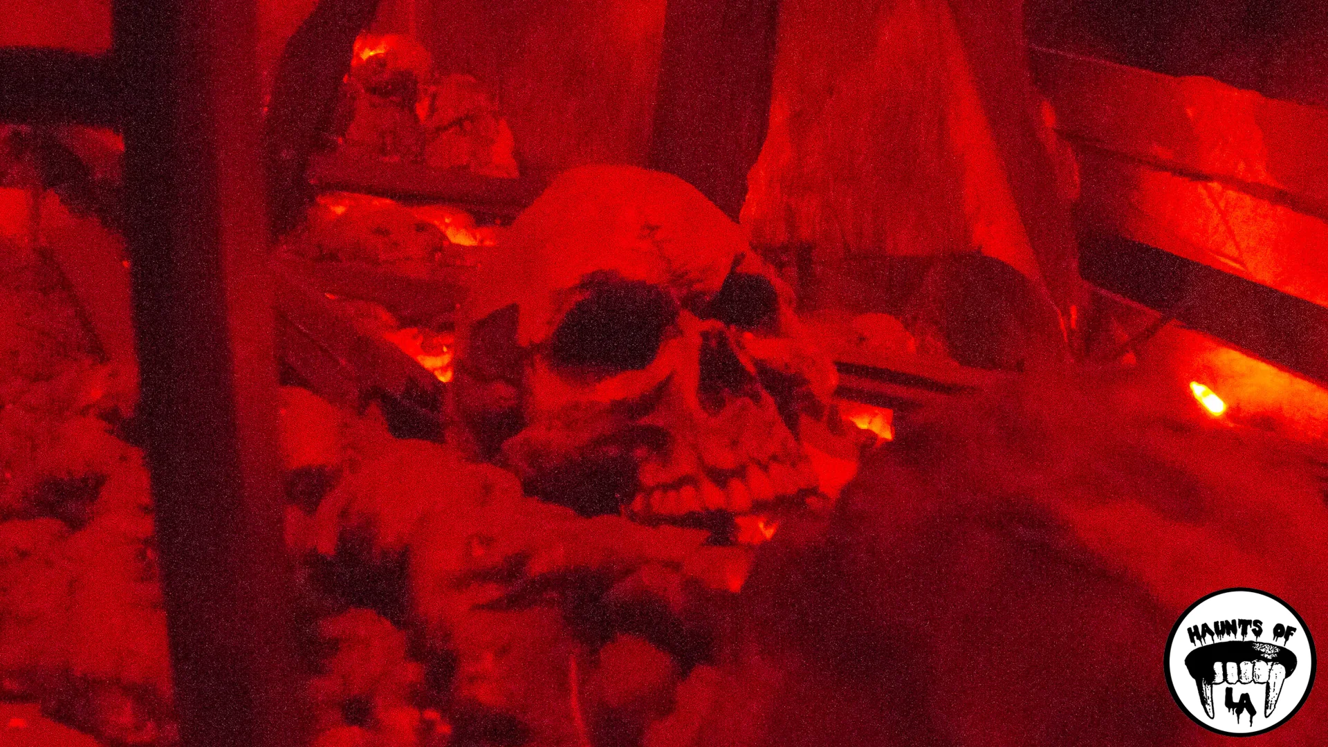 HOLA 18.10.12 Reign Of Terror.jpg