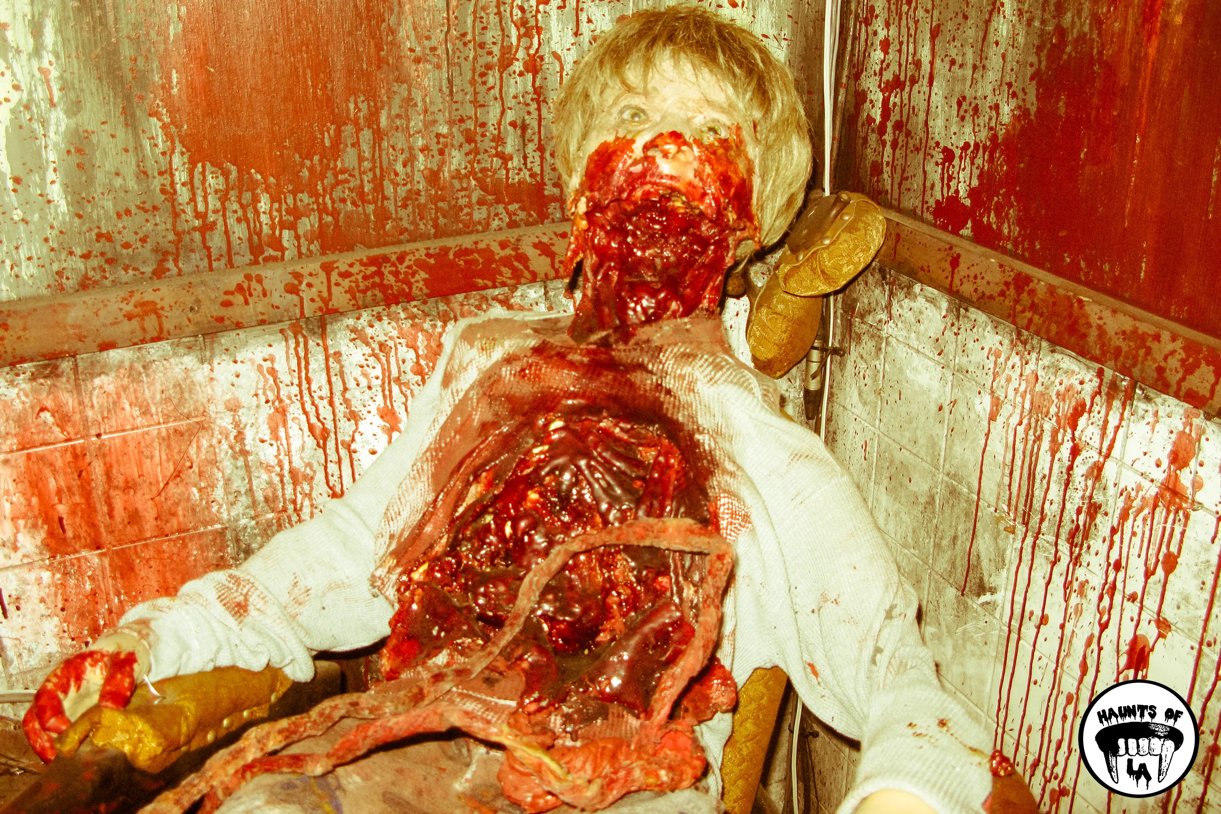 Knottsscaryfarm2017.jpg