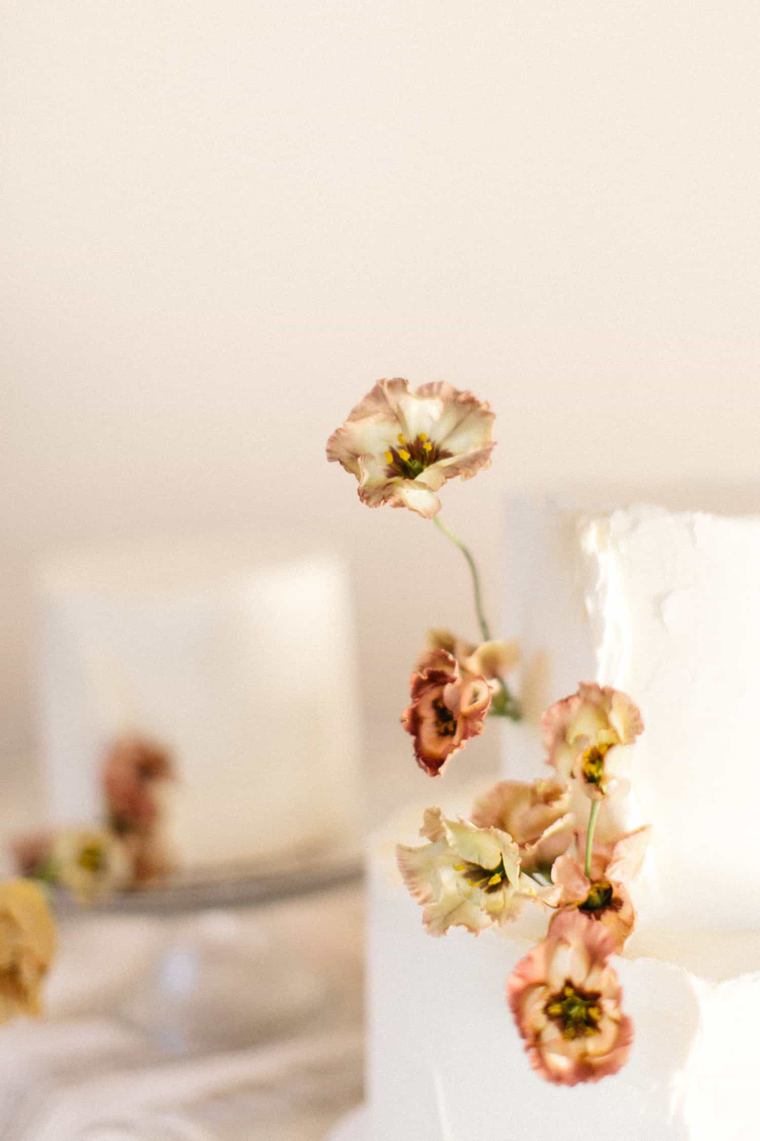 Wedding cake and flower design by Color Theory Collective