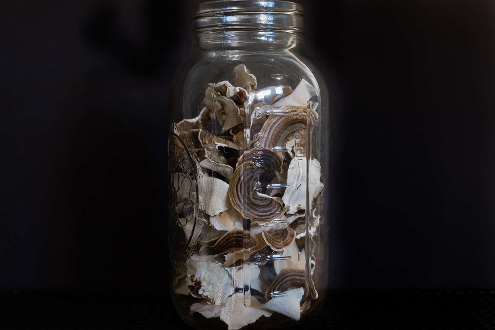 Portland florist stores dried Turkey Tail mushrooms in glass canning jar for longterm storage