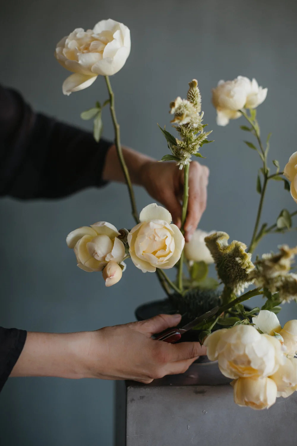 Portland Florist Blog Portland Florist Color Theory Design