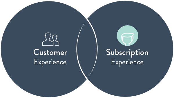 customer-subscriber.png