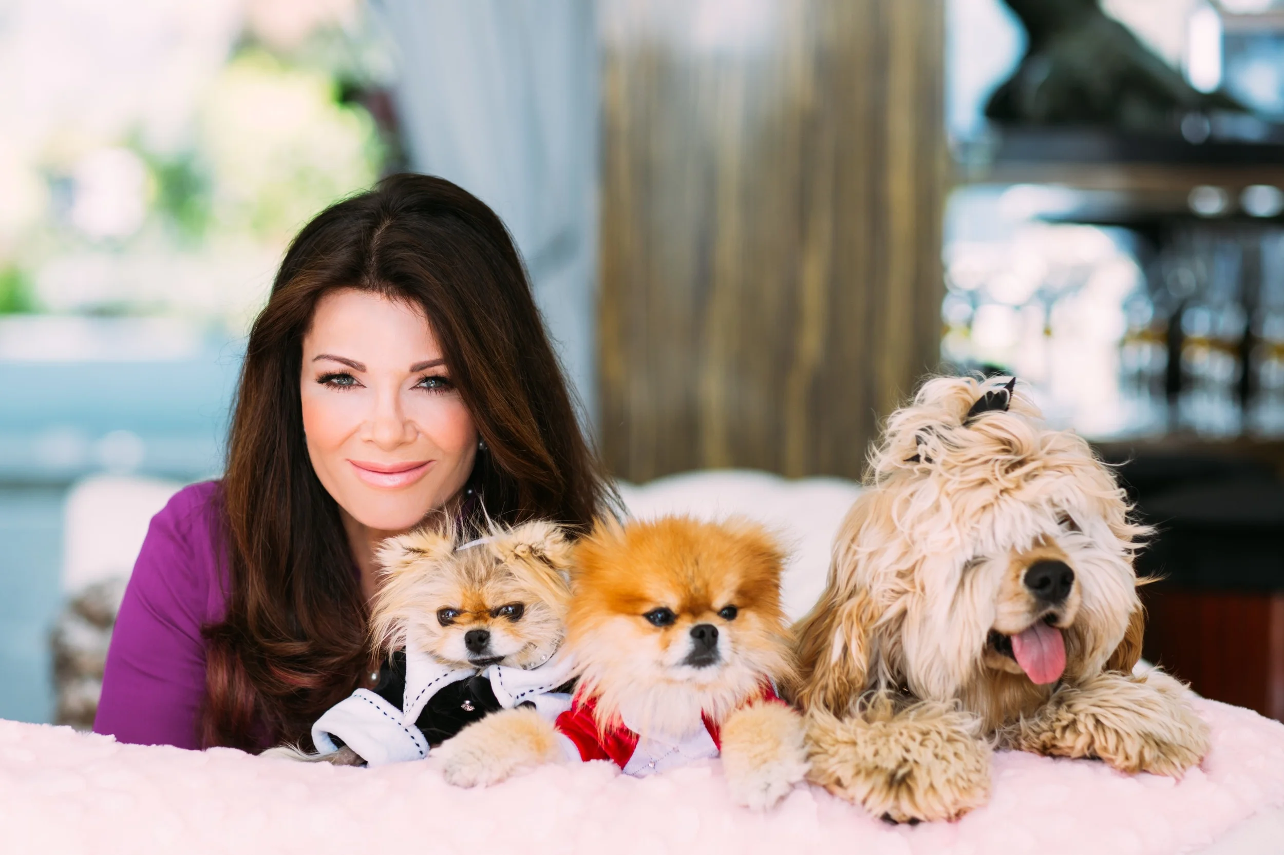 The Vanderpump Dog Foundation