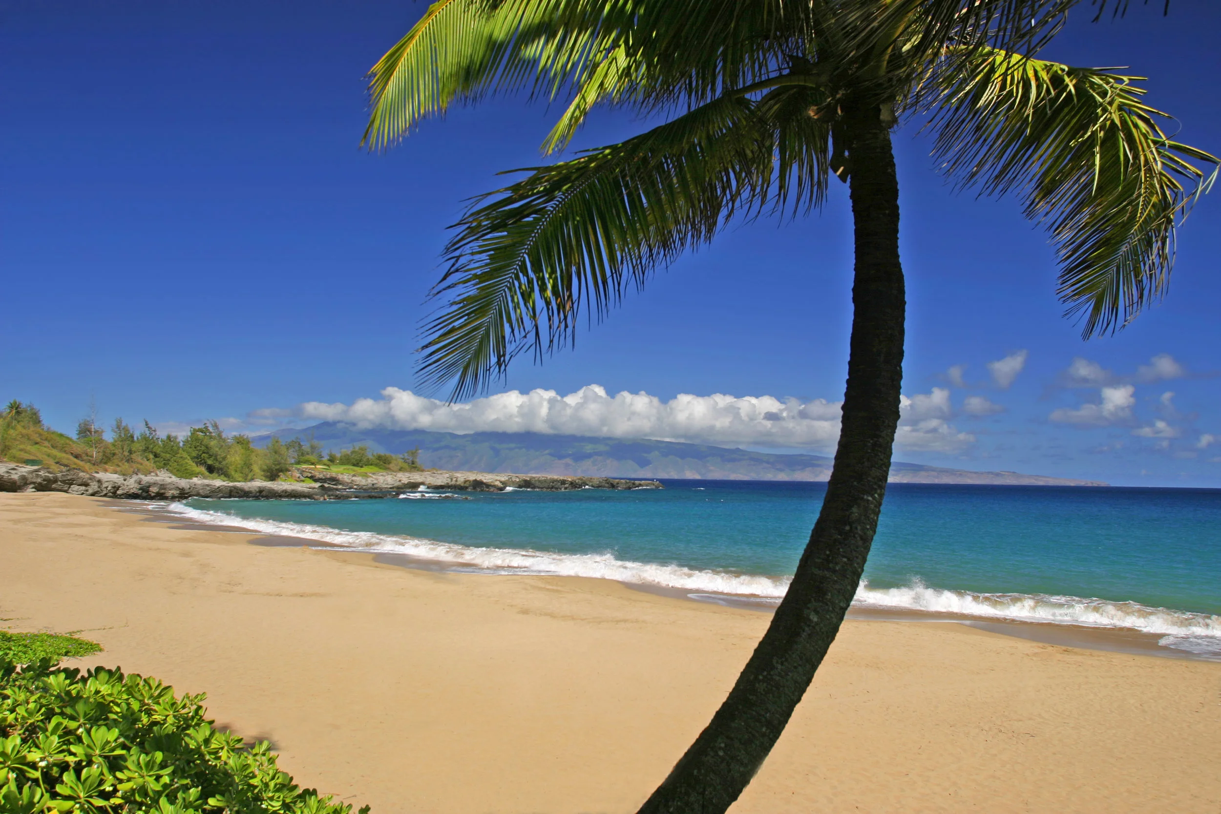 DT Fleming Beach Edit.jpg