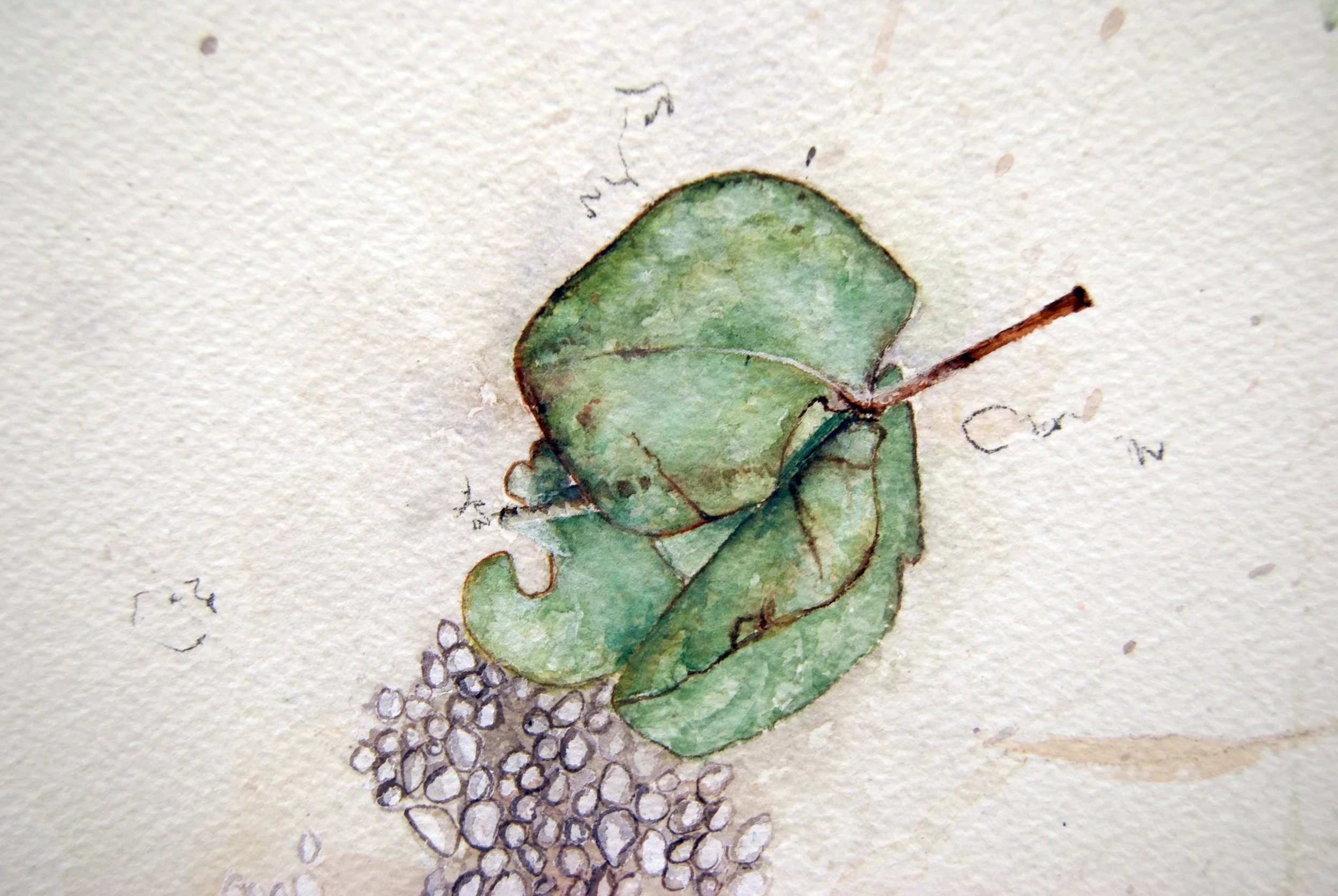 The Peace that Passes All Understanding (detail) 2018 Watercolour and Gouache on Paper