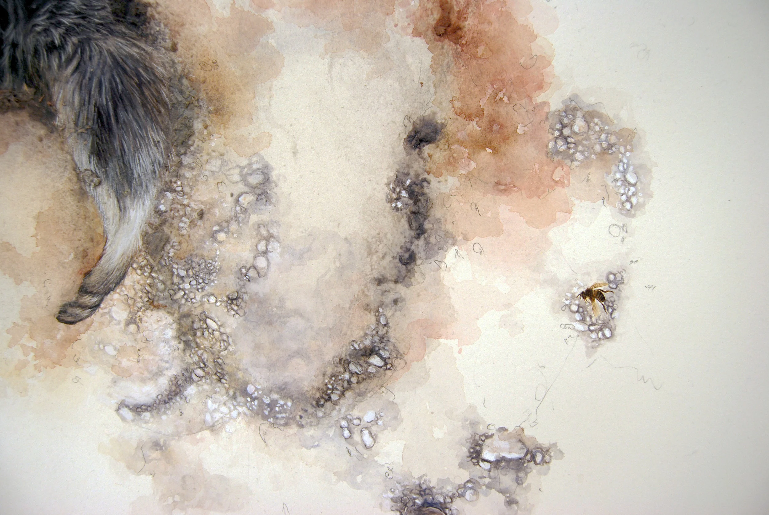 I Fell in Love (detail) 2018 Watercolour and Gouache on Paper