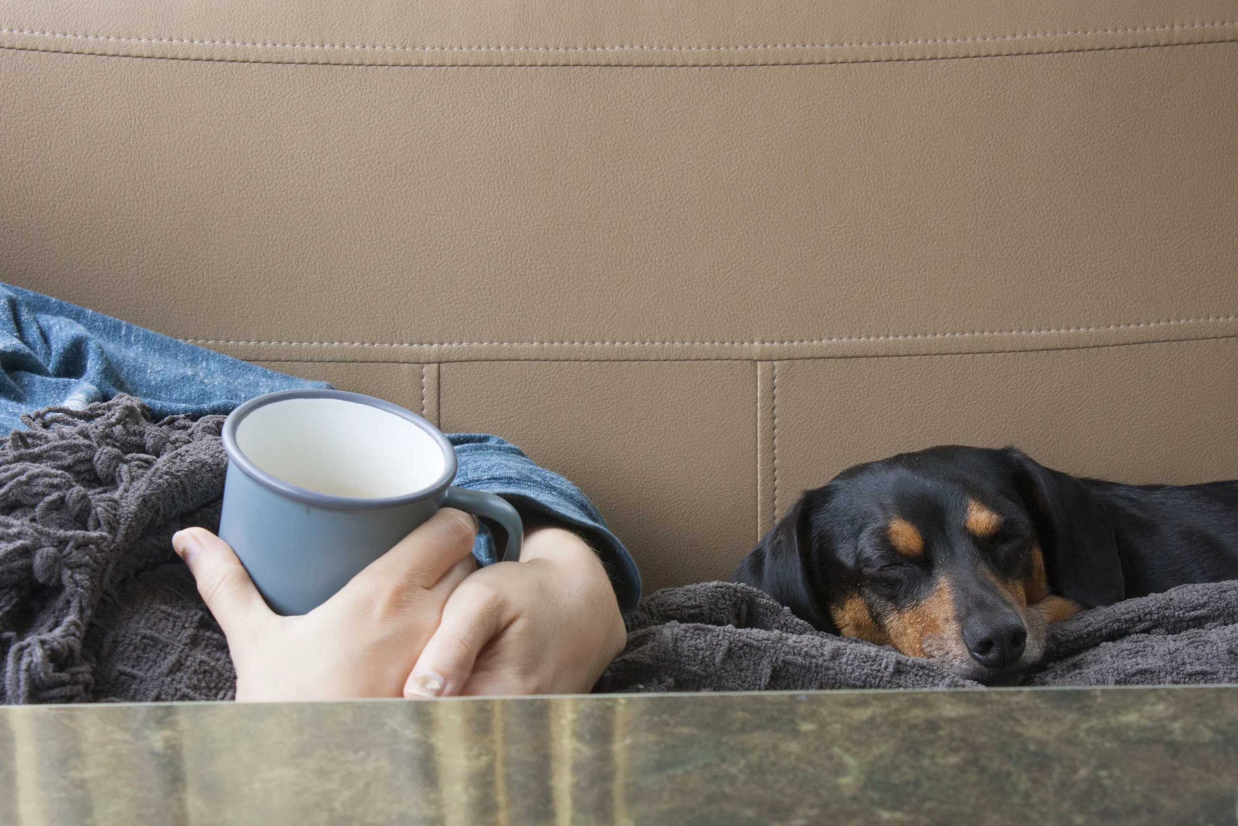All the coffee. All the cozies. Pretty much a perfect birthday morning. 