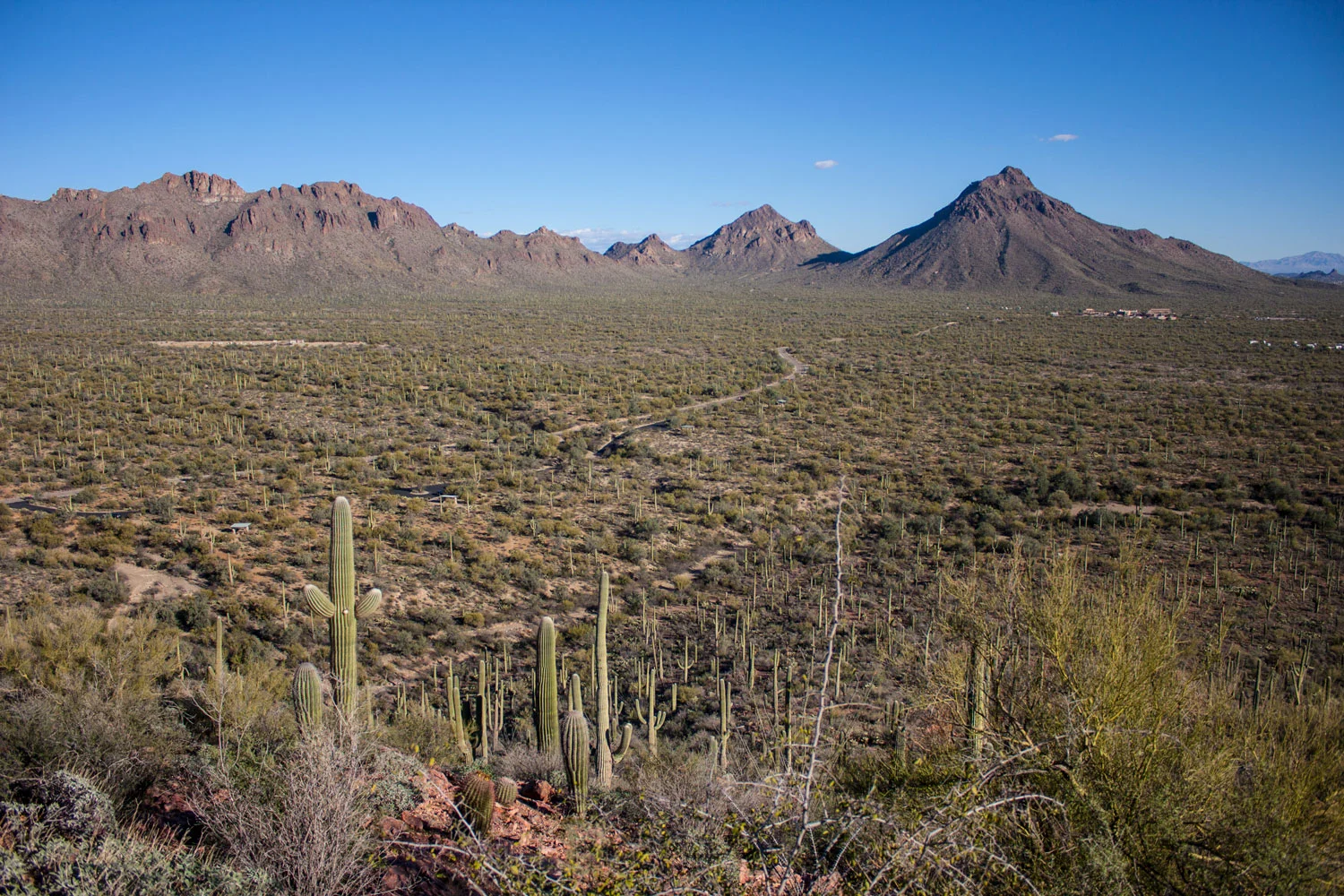 360 views from the trails.