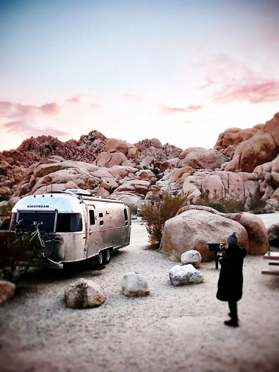 joshua_tree_sunset_01_cb1_sm.jpg