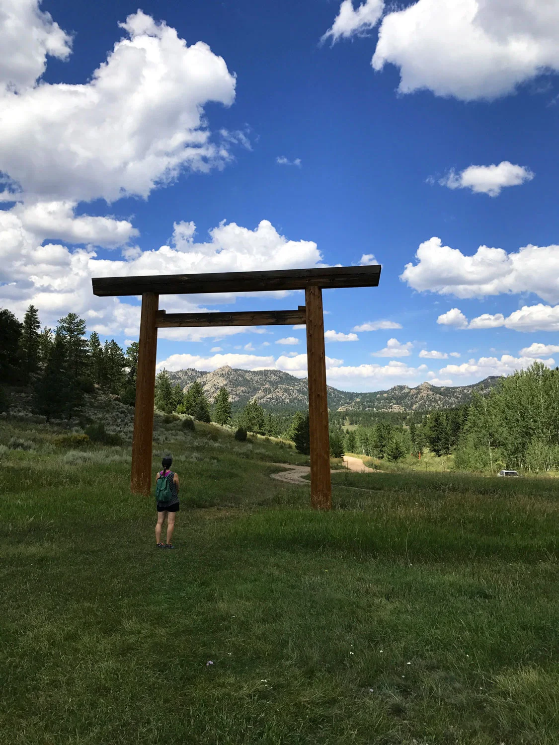 shambhala_selects_01.jpg