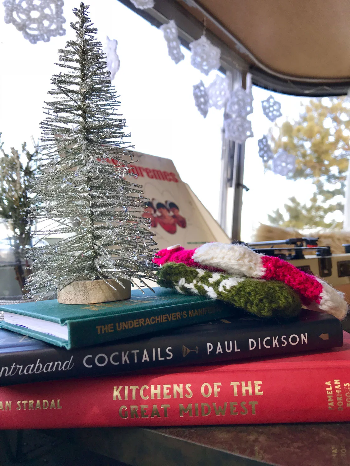 christmas-in-the-camper-05.jpg