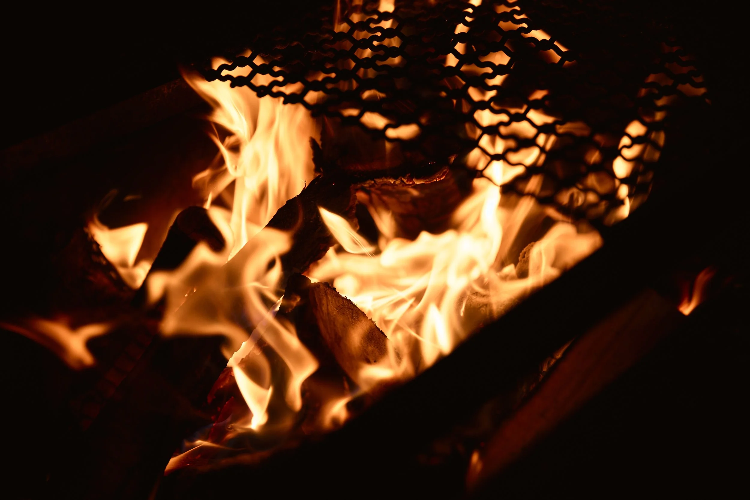 447A5697.jpg