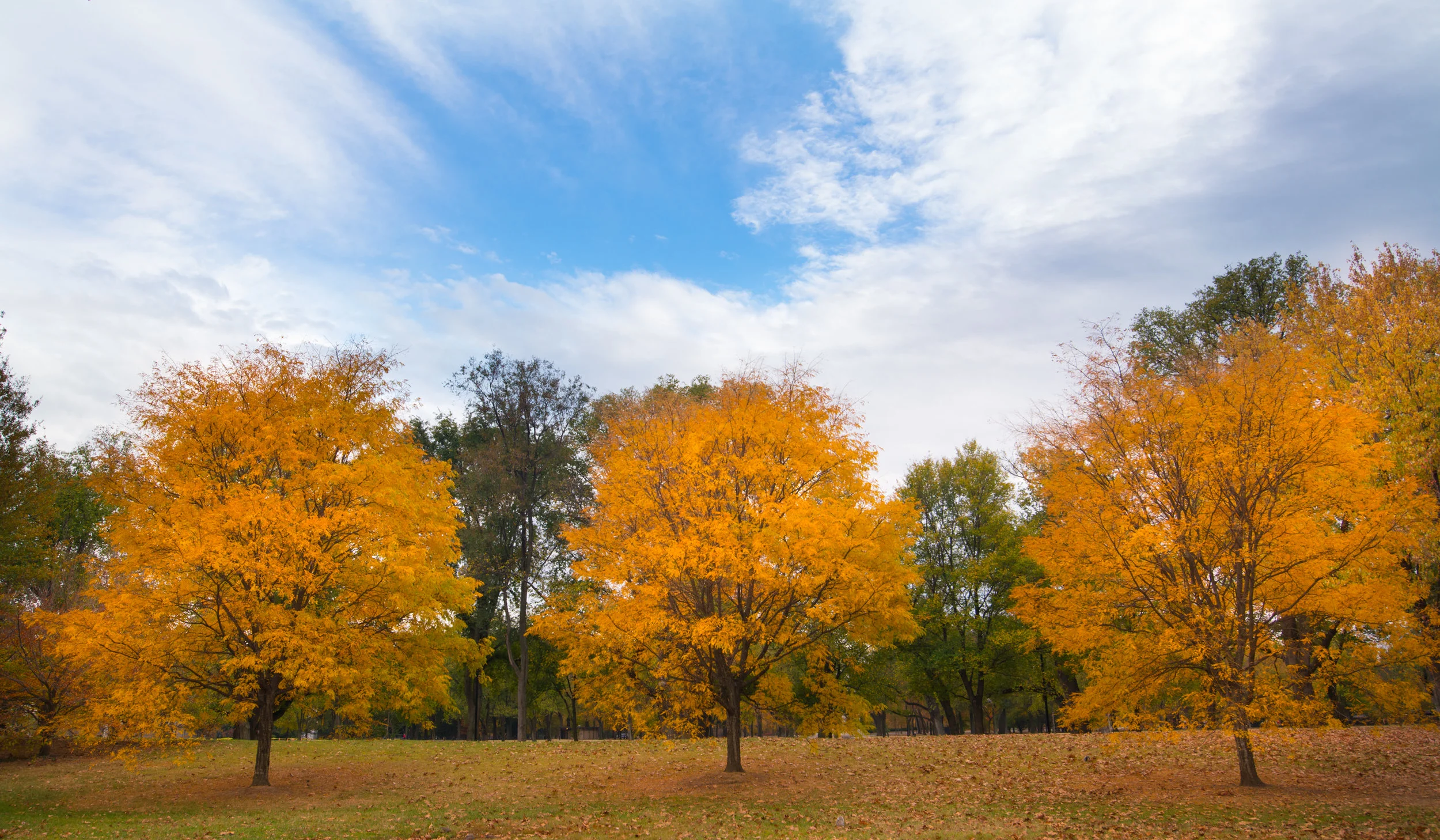 fall
