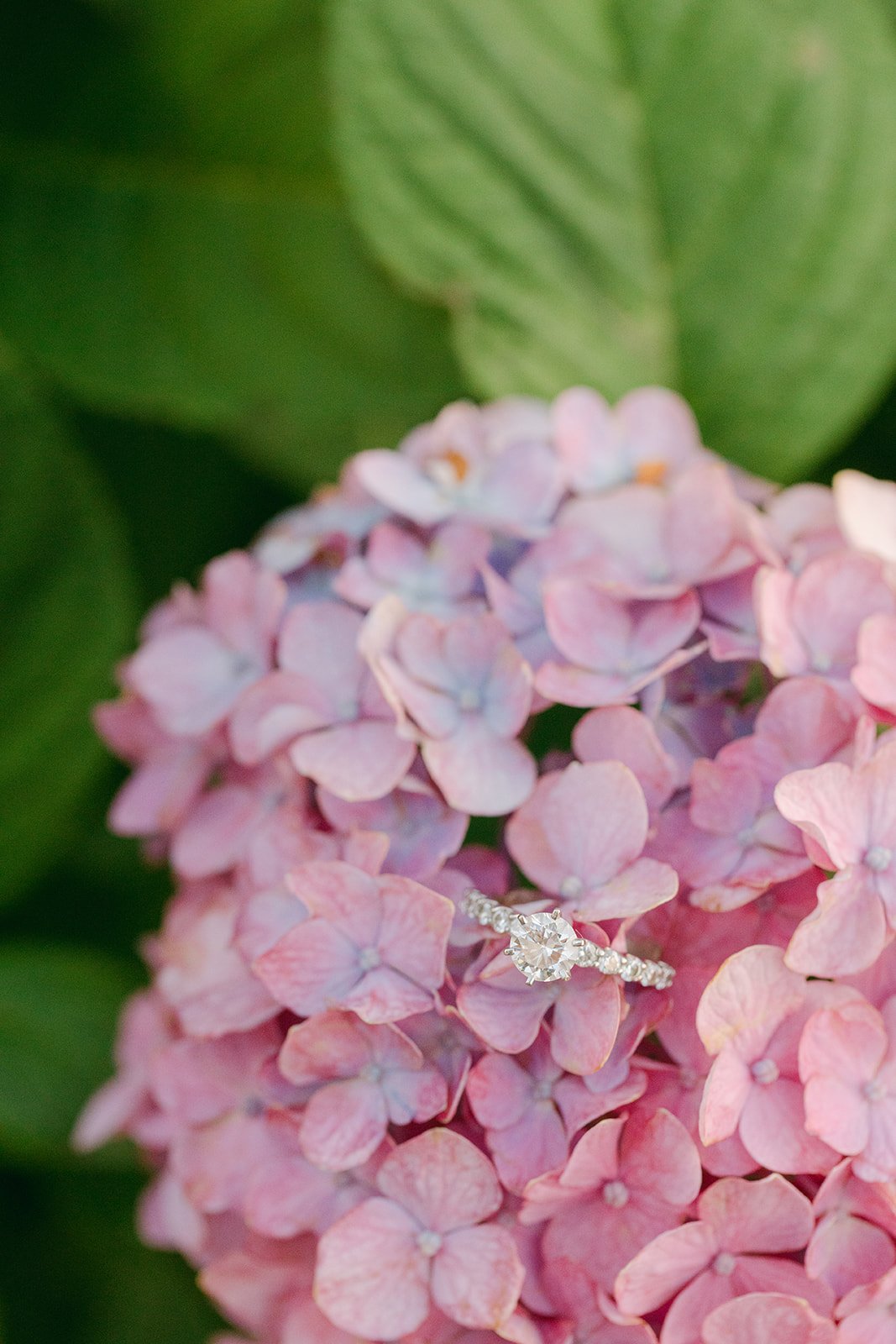 Mystic-Connecticut-Engagement-and-Wedding-Photographer-Cora-Jane-Photography.jpg