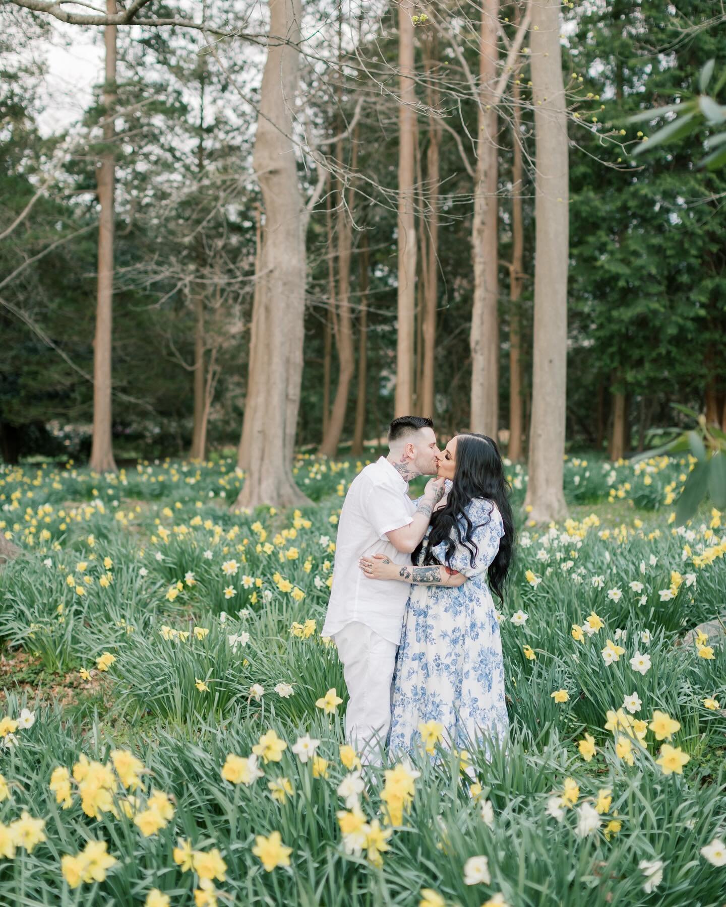 When you find a field of daffodils with a walking path&hellip;. You walk the path and pause for a kiss.