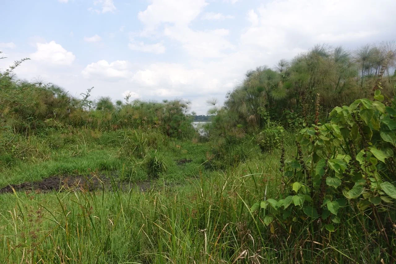 UGANDA SELECTS - 27 of 432.jpg