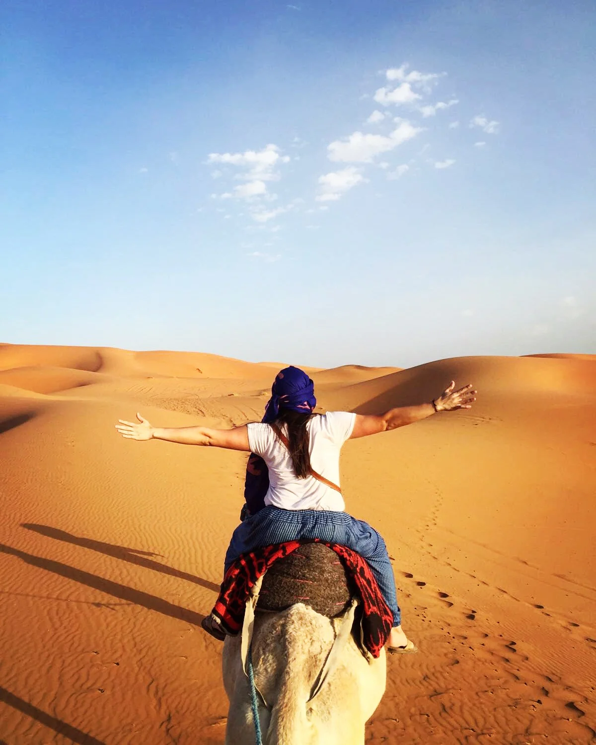 Farewell, Morocco. I'll miss you, Jimmy Camel. 
