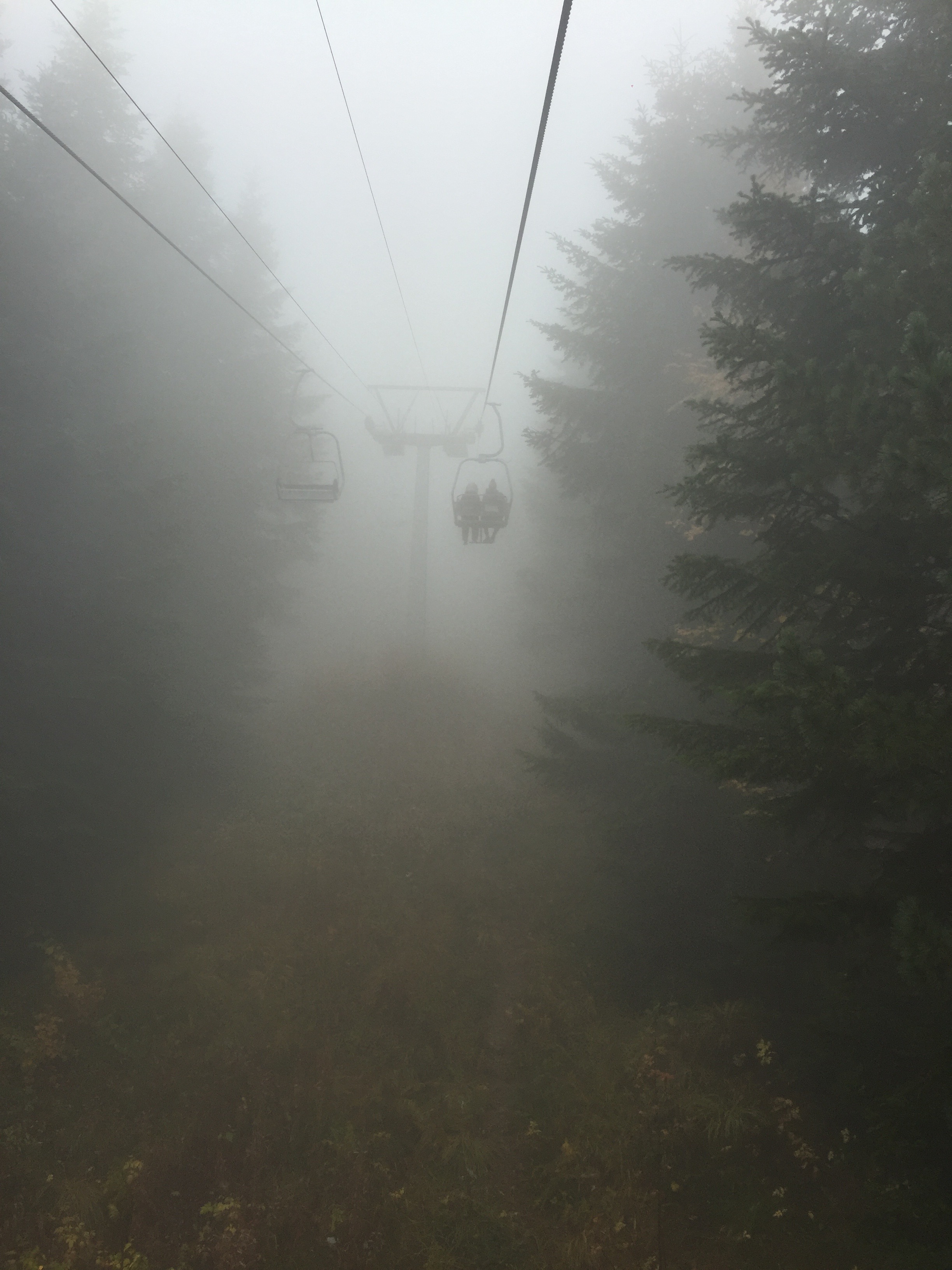 I actually did post this on Insta because it looks like the beginnings of a scary movie. (Insta: yourtravelblogsucks )