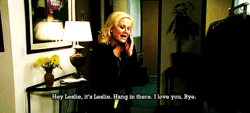 I strive to be Leslie Knope. 