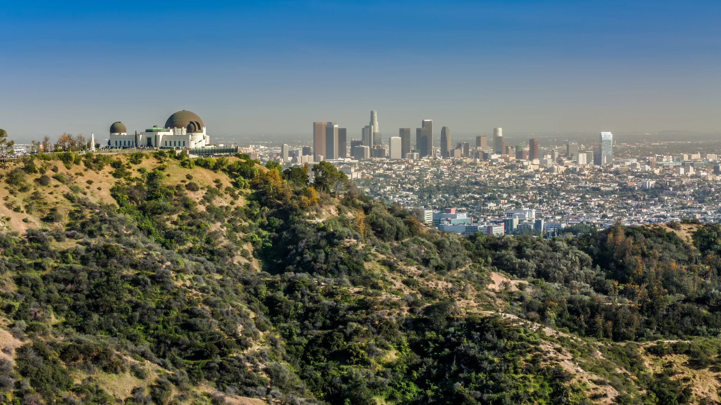 XE1A9095-Edit-1.jpg