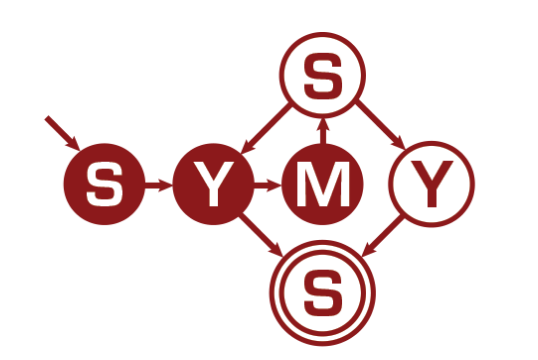 SymSys Society