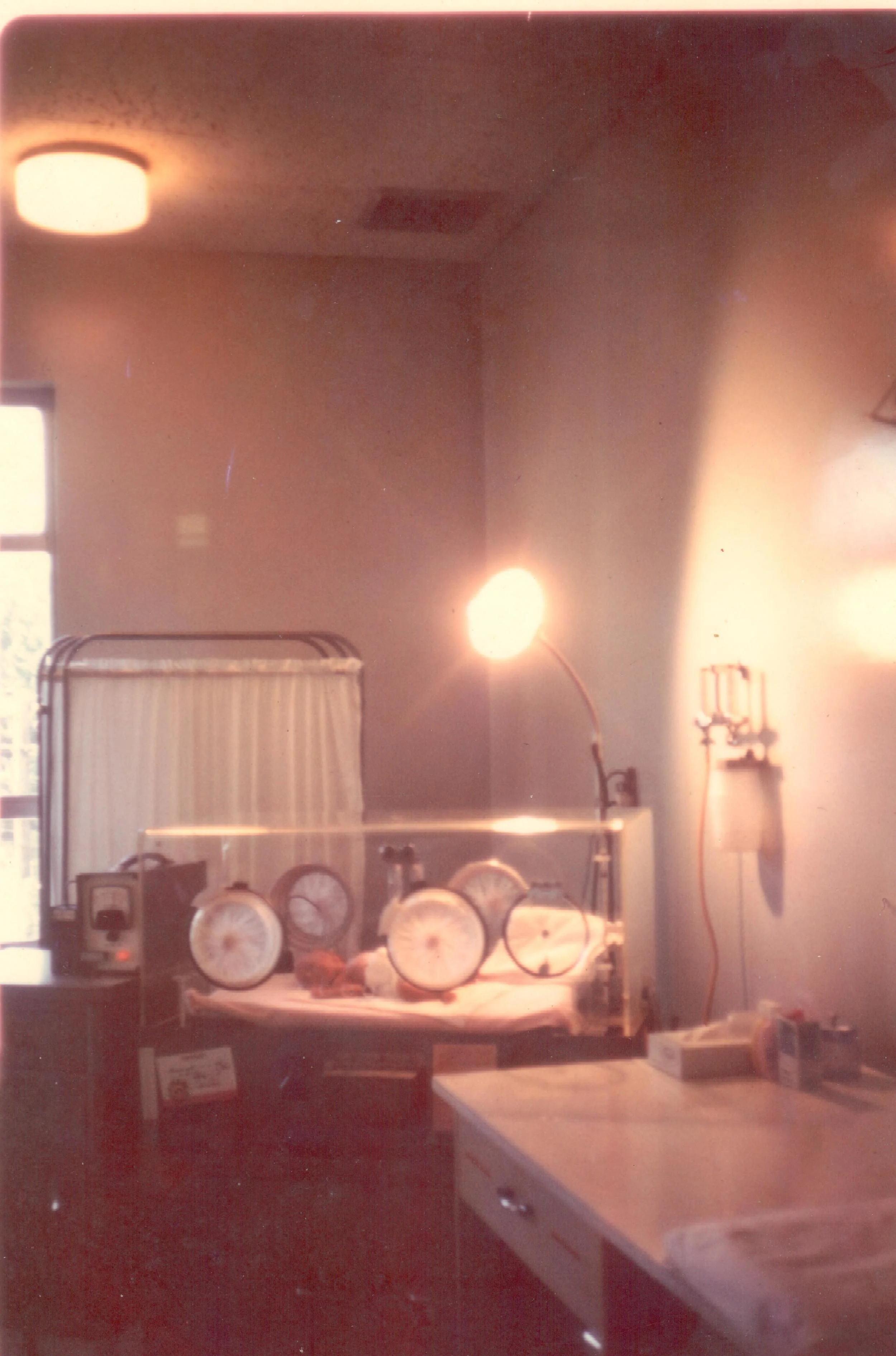 Jesse_Incubator_1972 1.jpeg