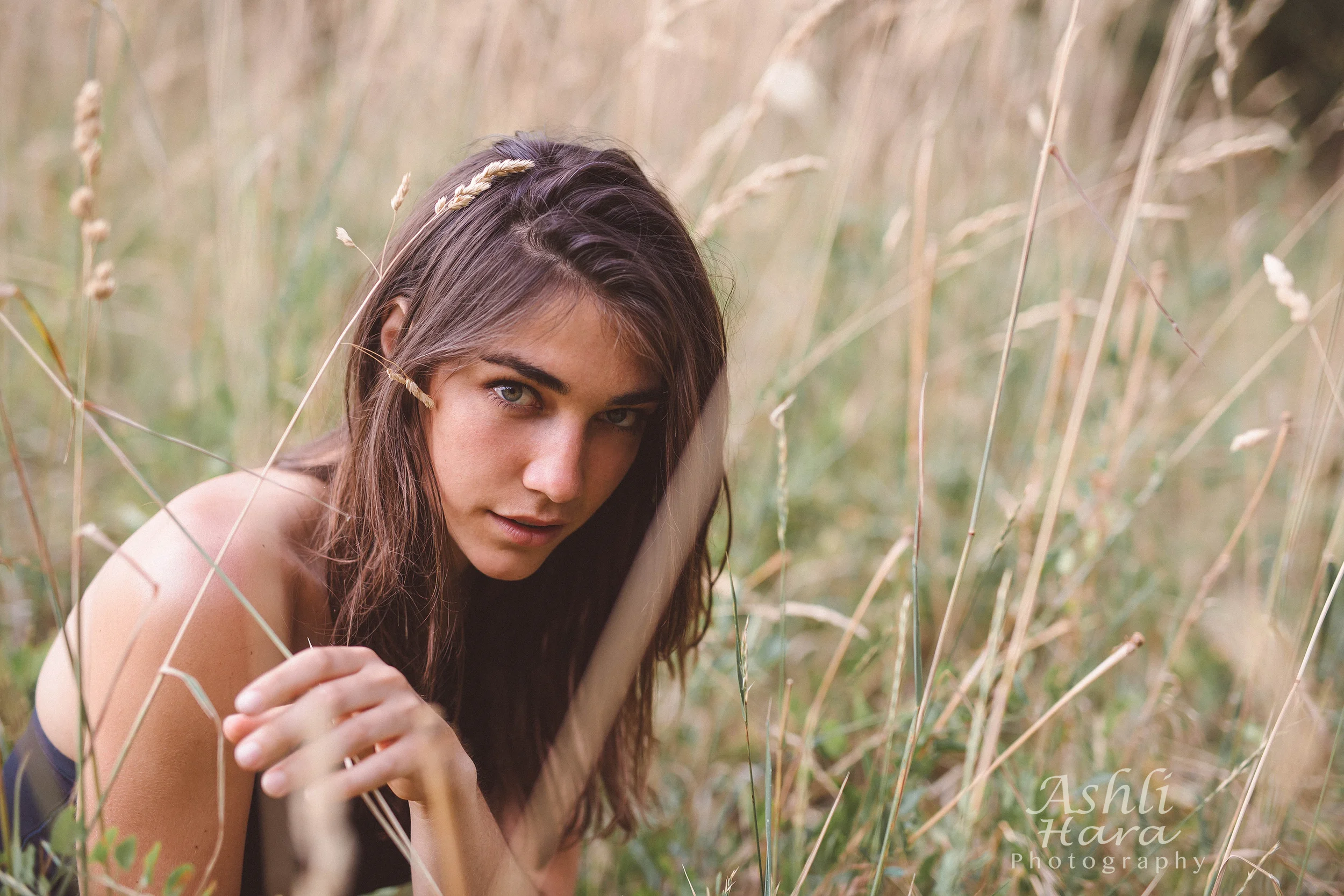 0 0 0 BO3B8365-4a.jpg