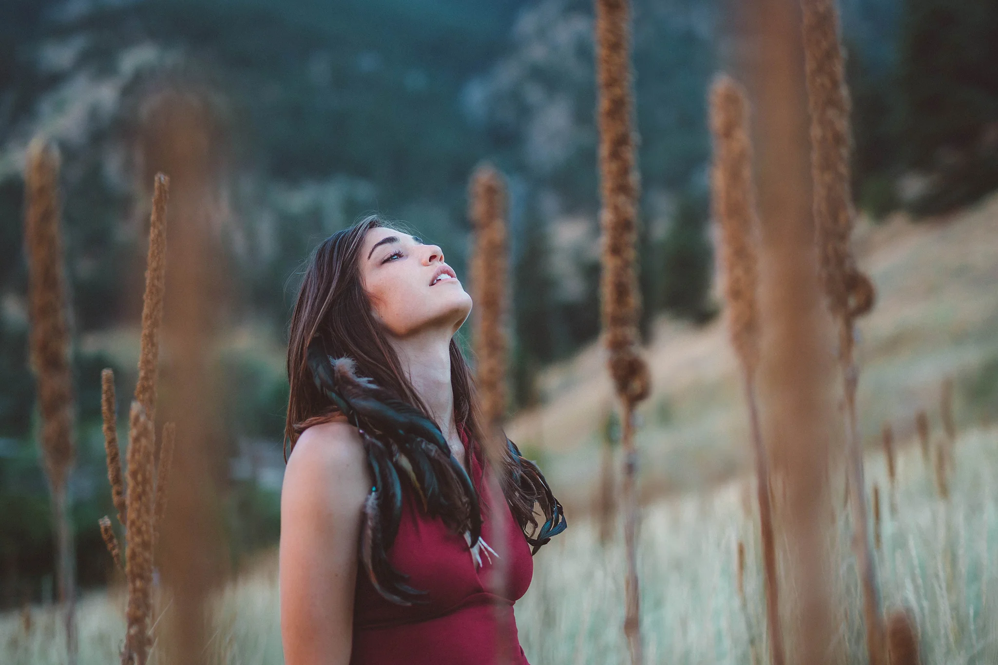 Ashlihara photography ~ mullen looking up.jpg