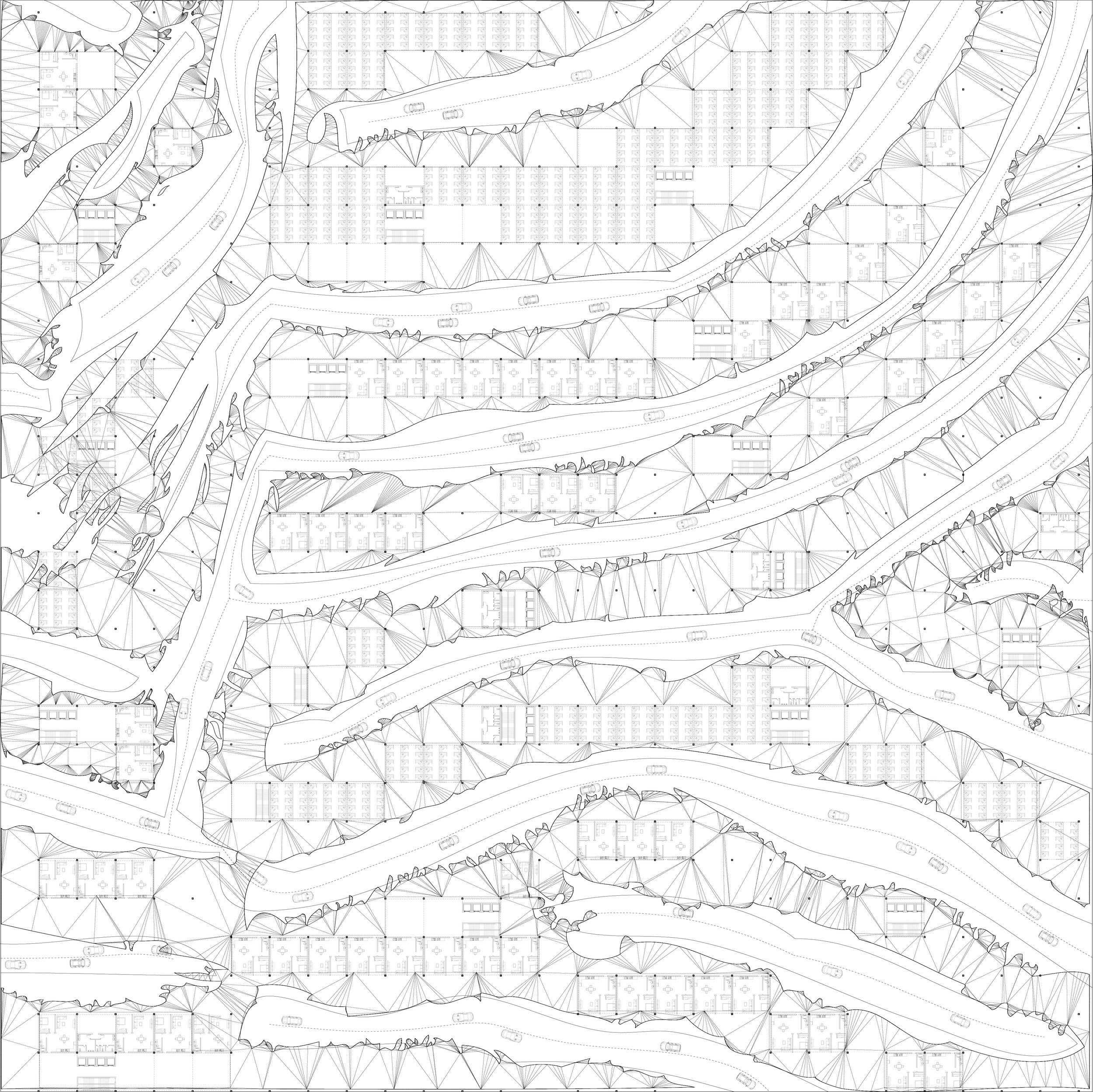 zebra_V6.jpg