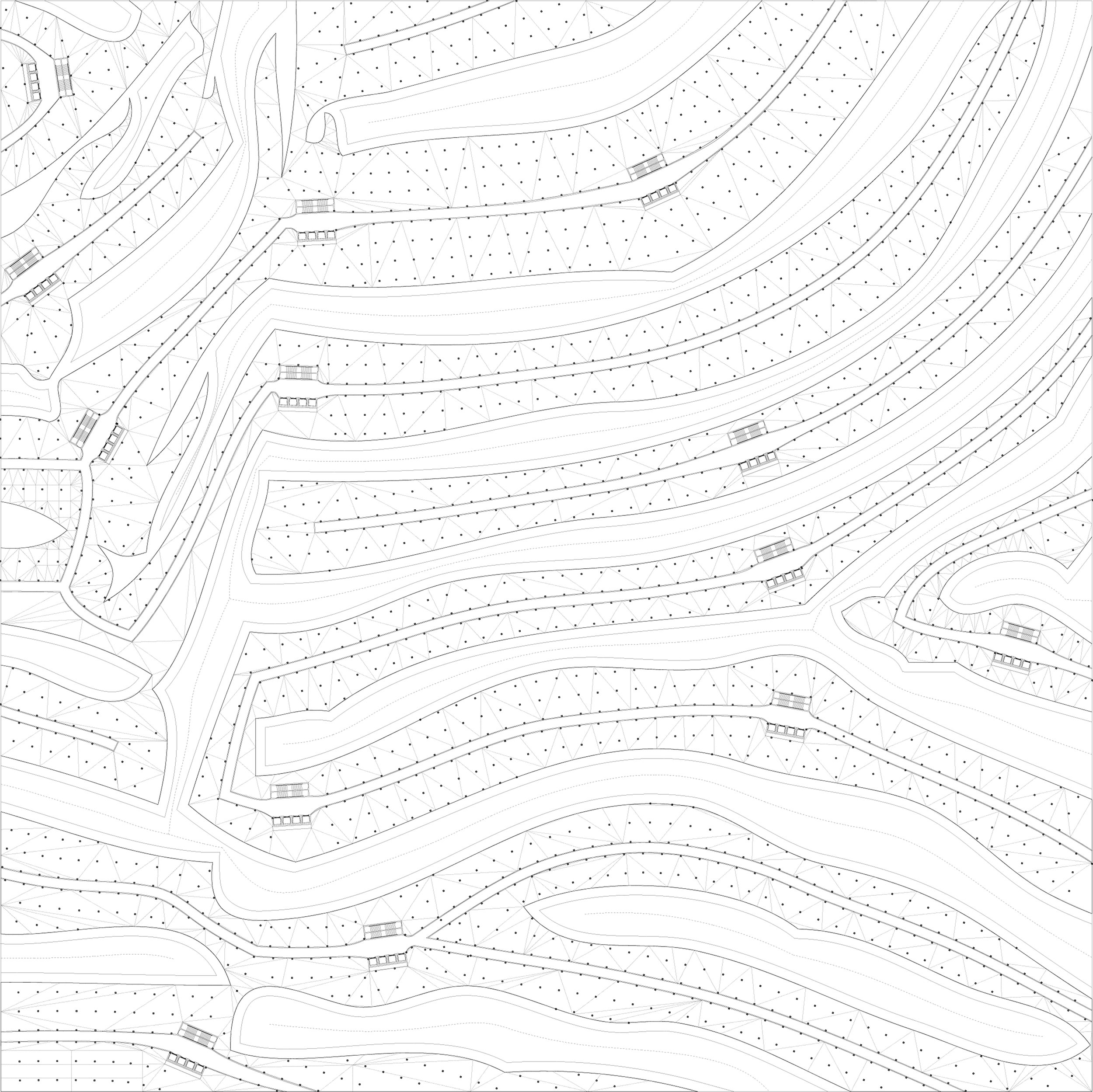 zebra_V7_2 copy.jpg