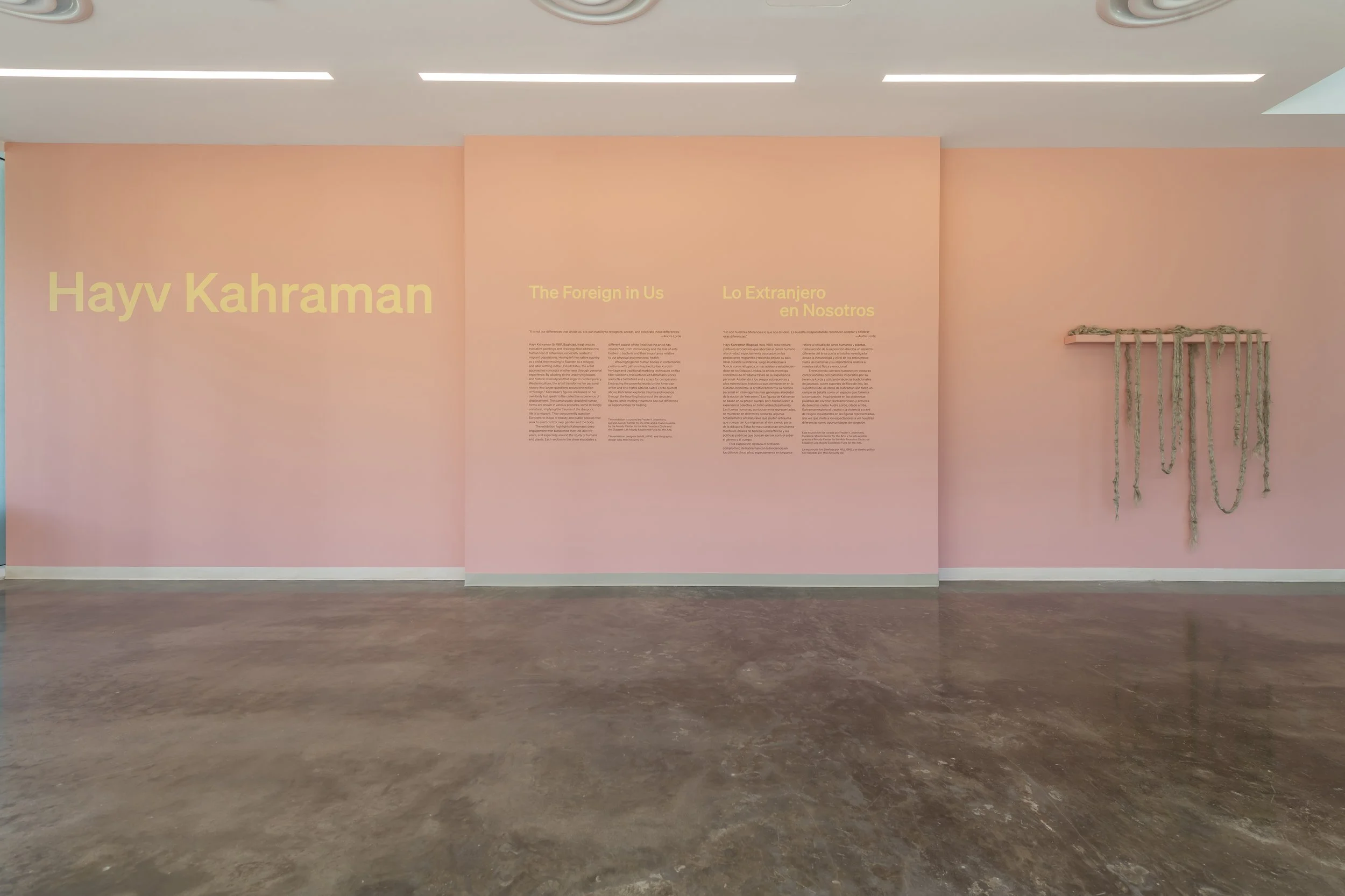 Copy of MCFTA Hayv15415-HDR.JPG