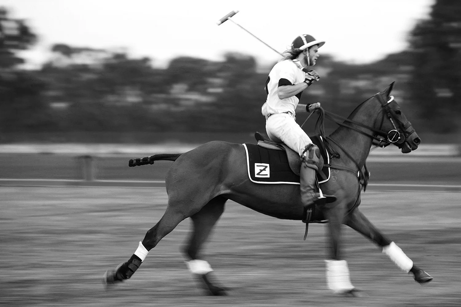 8 Polo.jpg