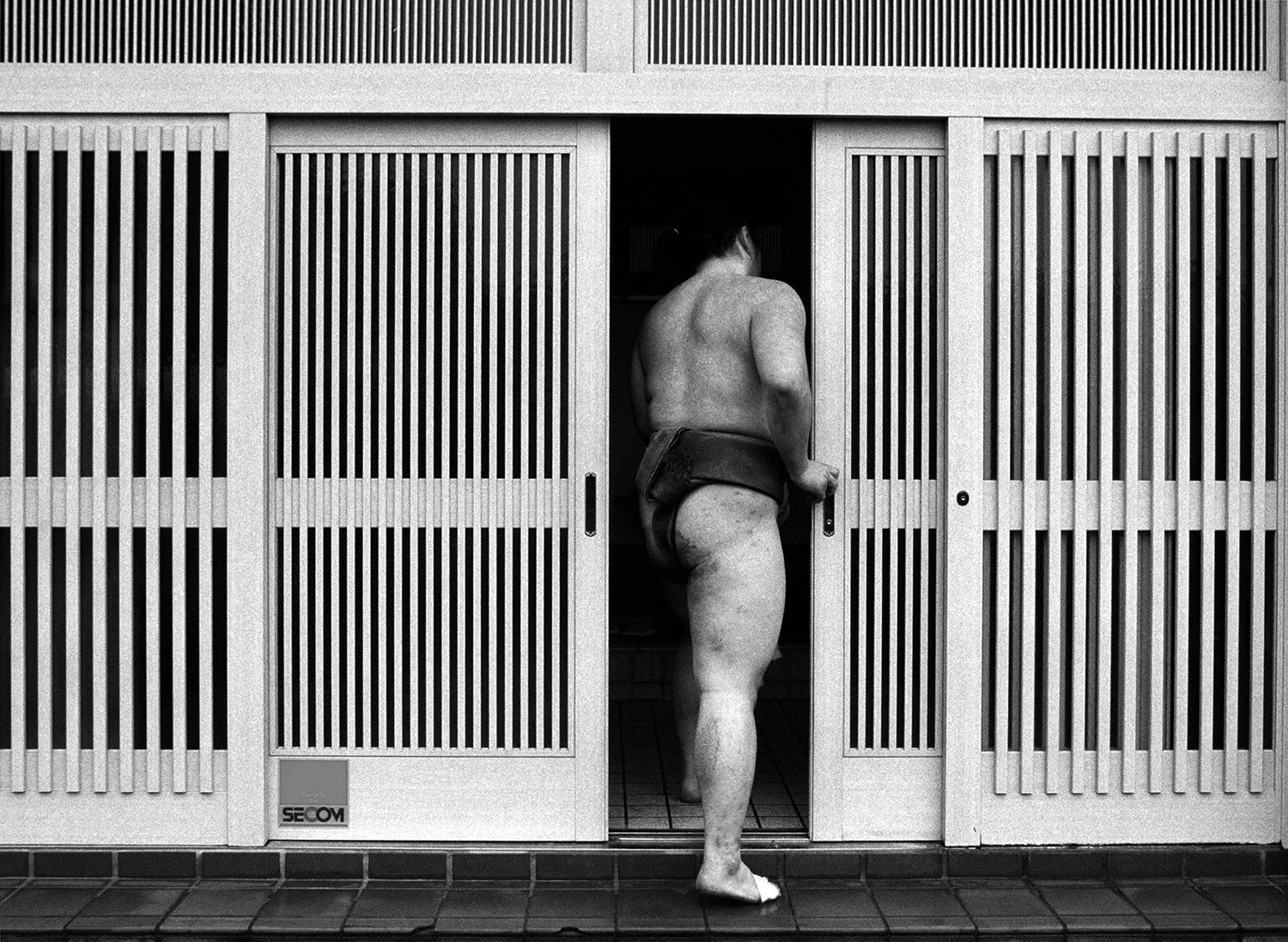 1 Sumo.jpg