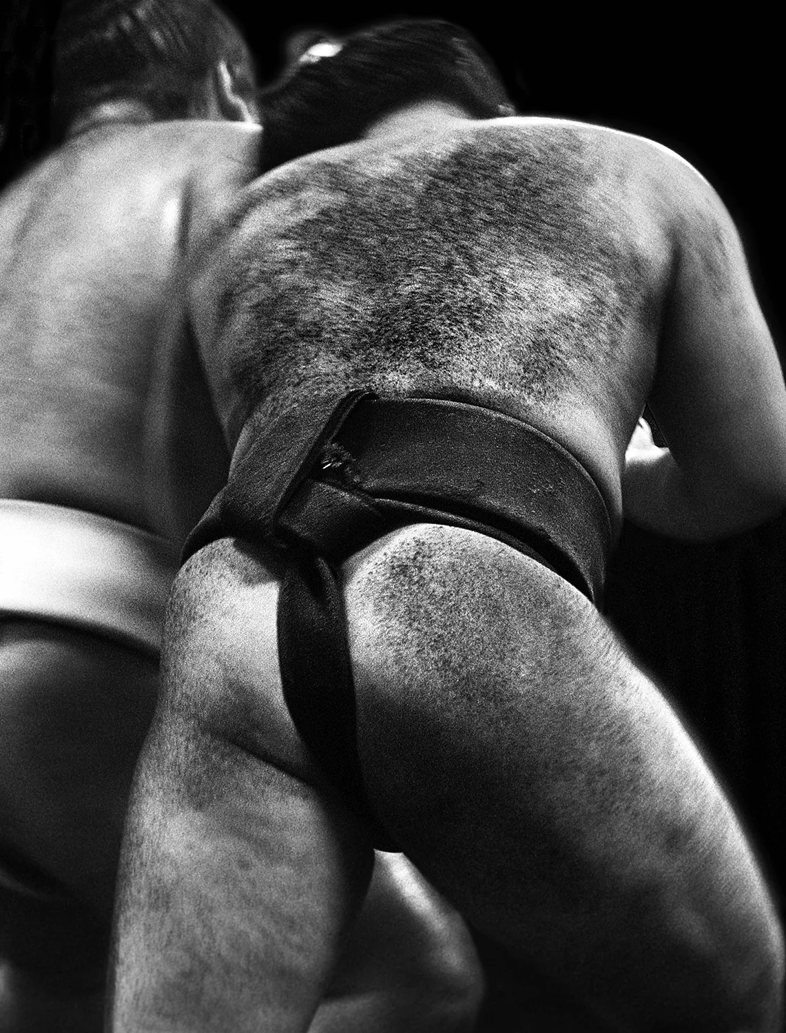 1a Sumo.jpg