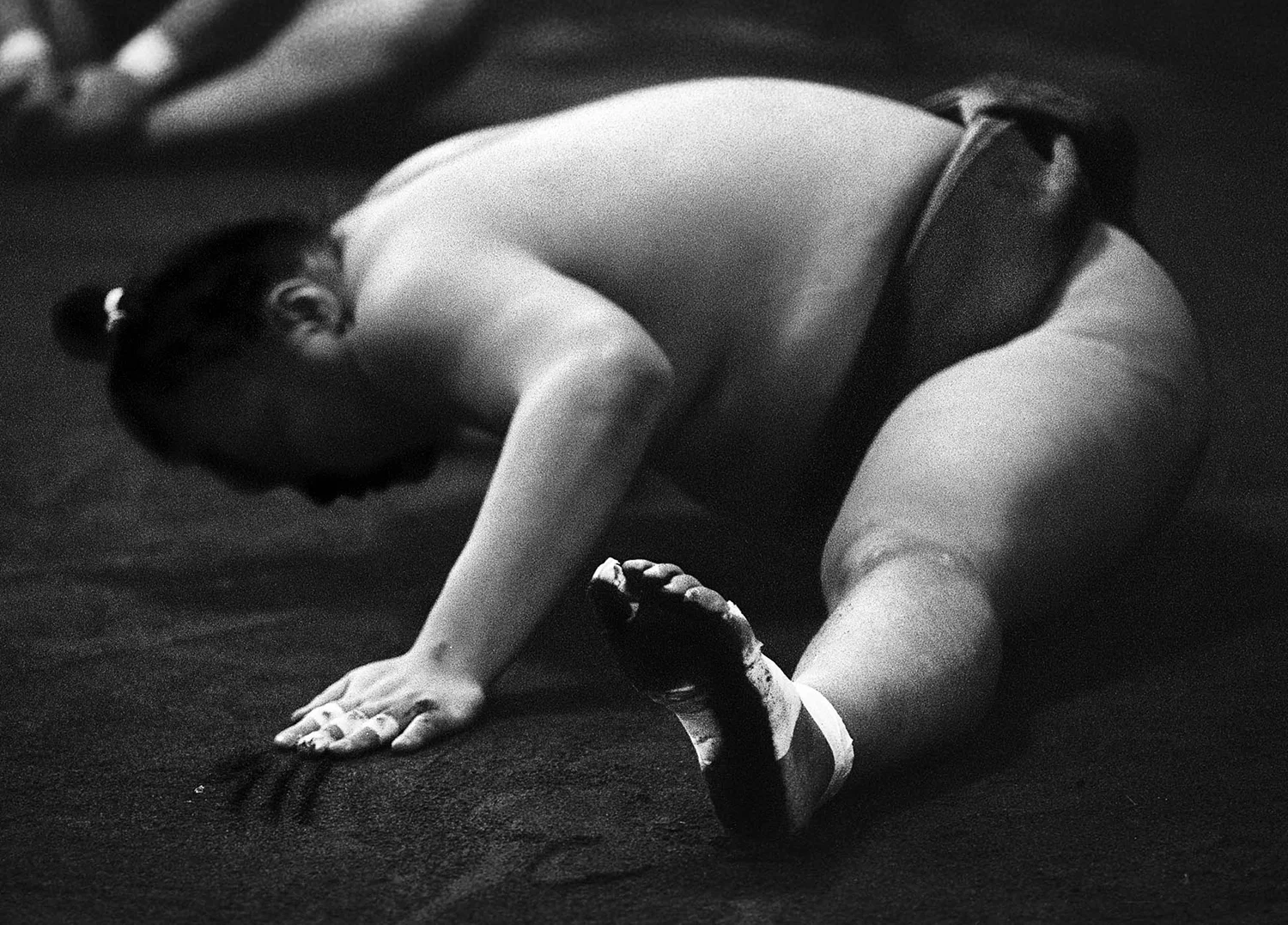 4 Sumo.jpg
