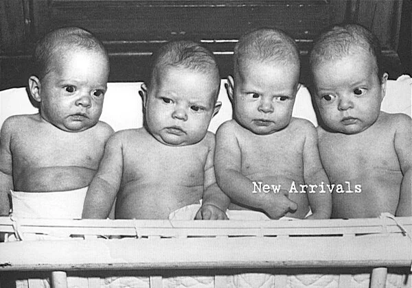 LS New Arrivals.jpg