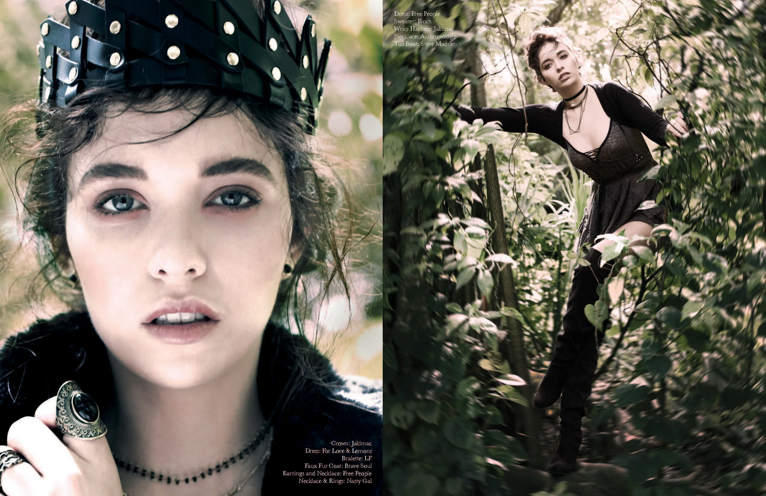 forestgypsy.4_Page_2.jpg