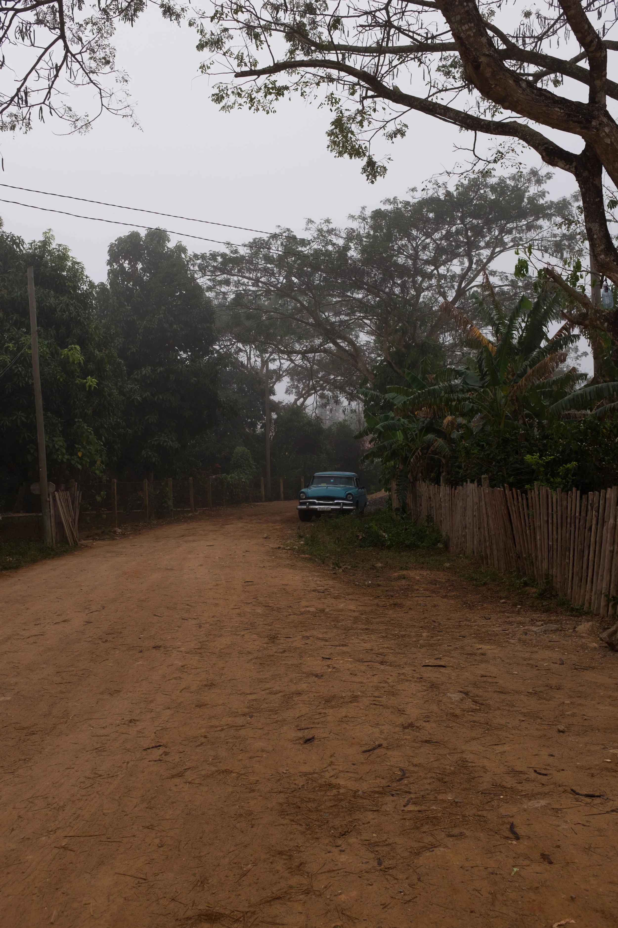DSCF5285.jpg