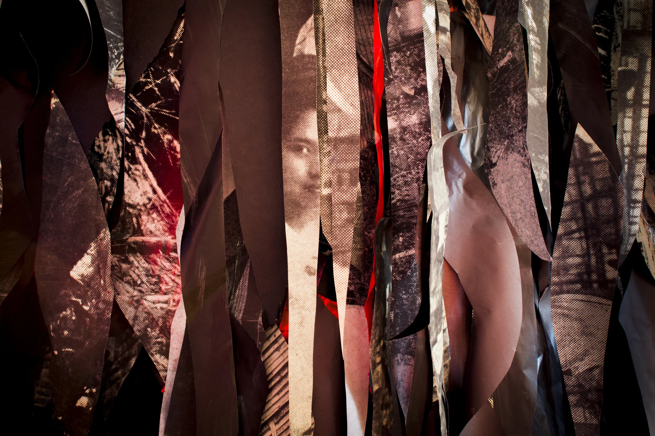 "Itinerant Maladies," 2018, (Detail)