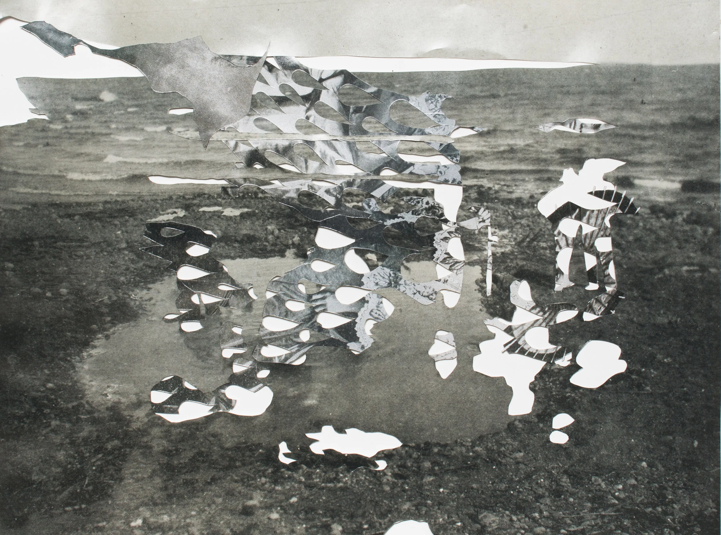 "Subtle faults (2)," 2016, Digital C-Print collage, 25 x 18.875 inches (White Border)