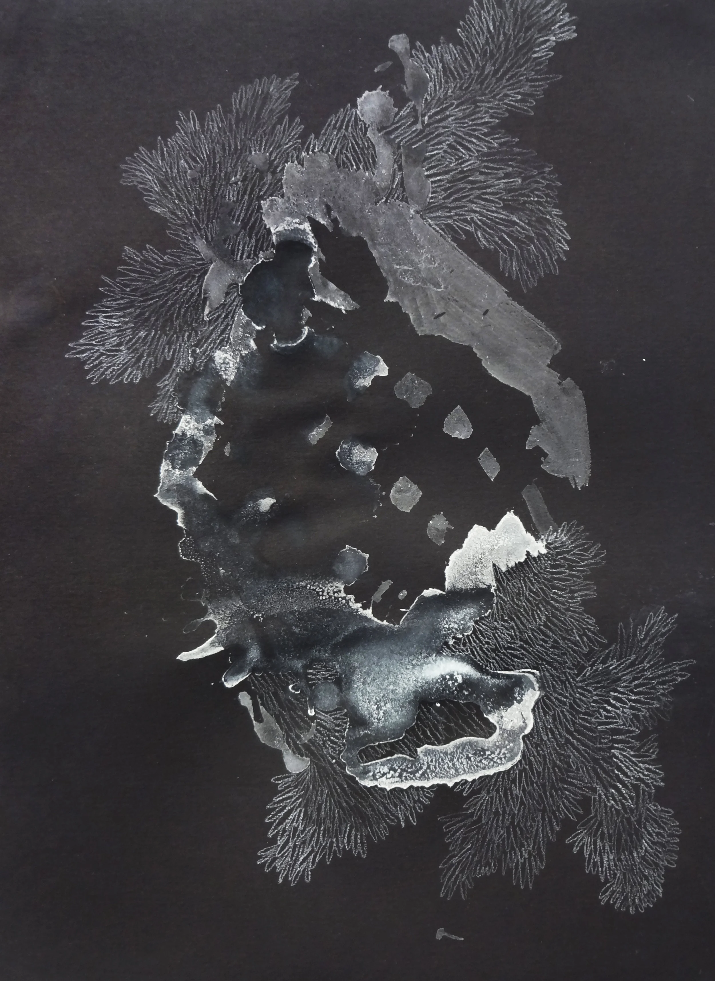 "Yolanda 7," 2014, pencil and salt on paper, 9 x 12 inches