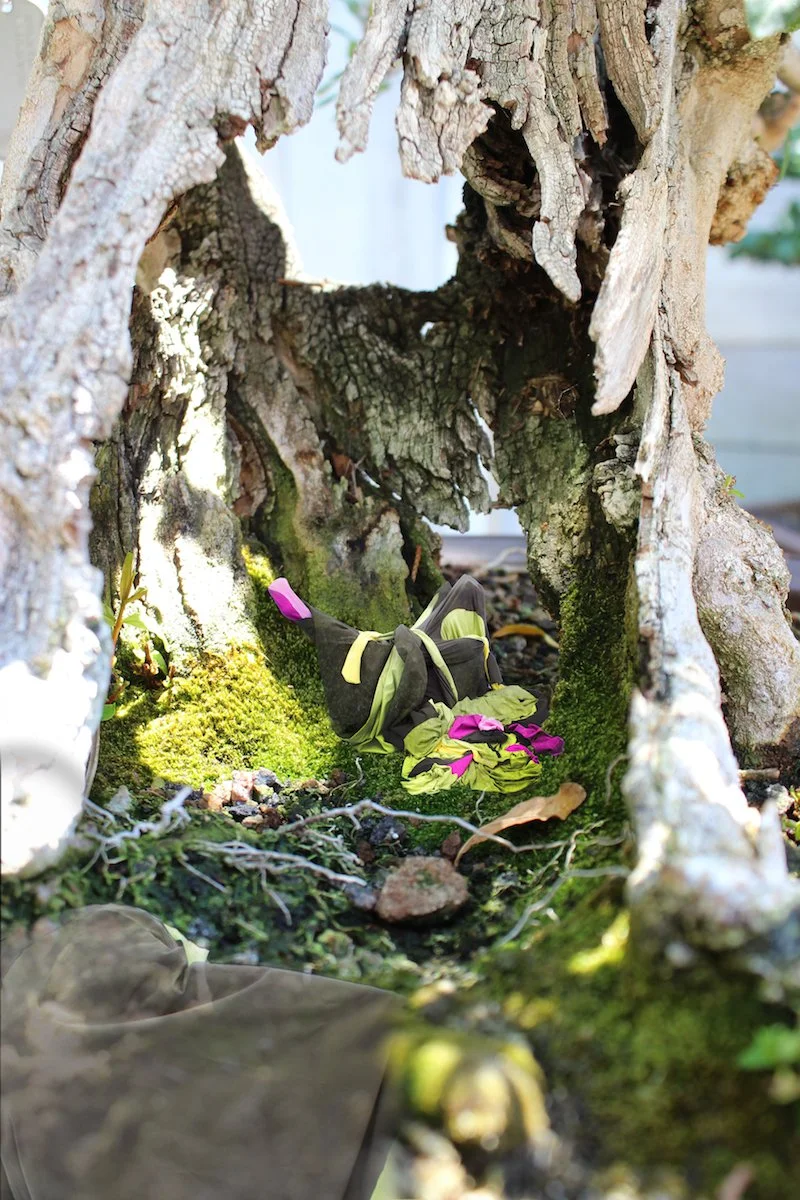   Redell &amp; Jimenez  